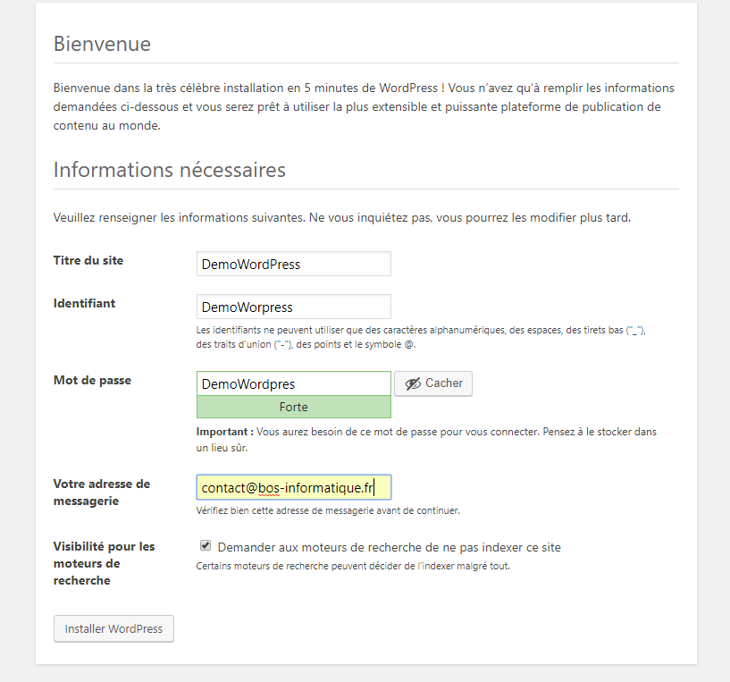 Comment Installer manuellement WordPress sur un Hébergement? La page d’information de l’installation de WordPress, montrant les champs à remplir (Titre du site, Identifiant, Mot de passe, Votre e-mail, Visibilité)