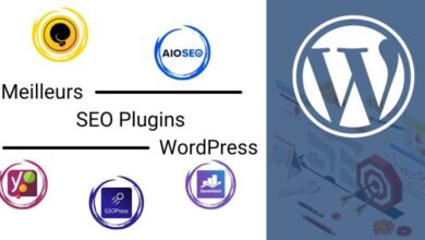 les 5 meilleurs plugins wordpress pour le référencement (SEO)